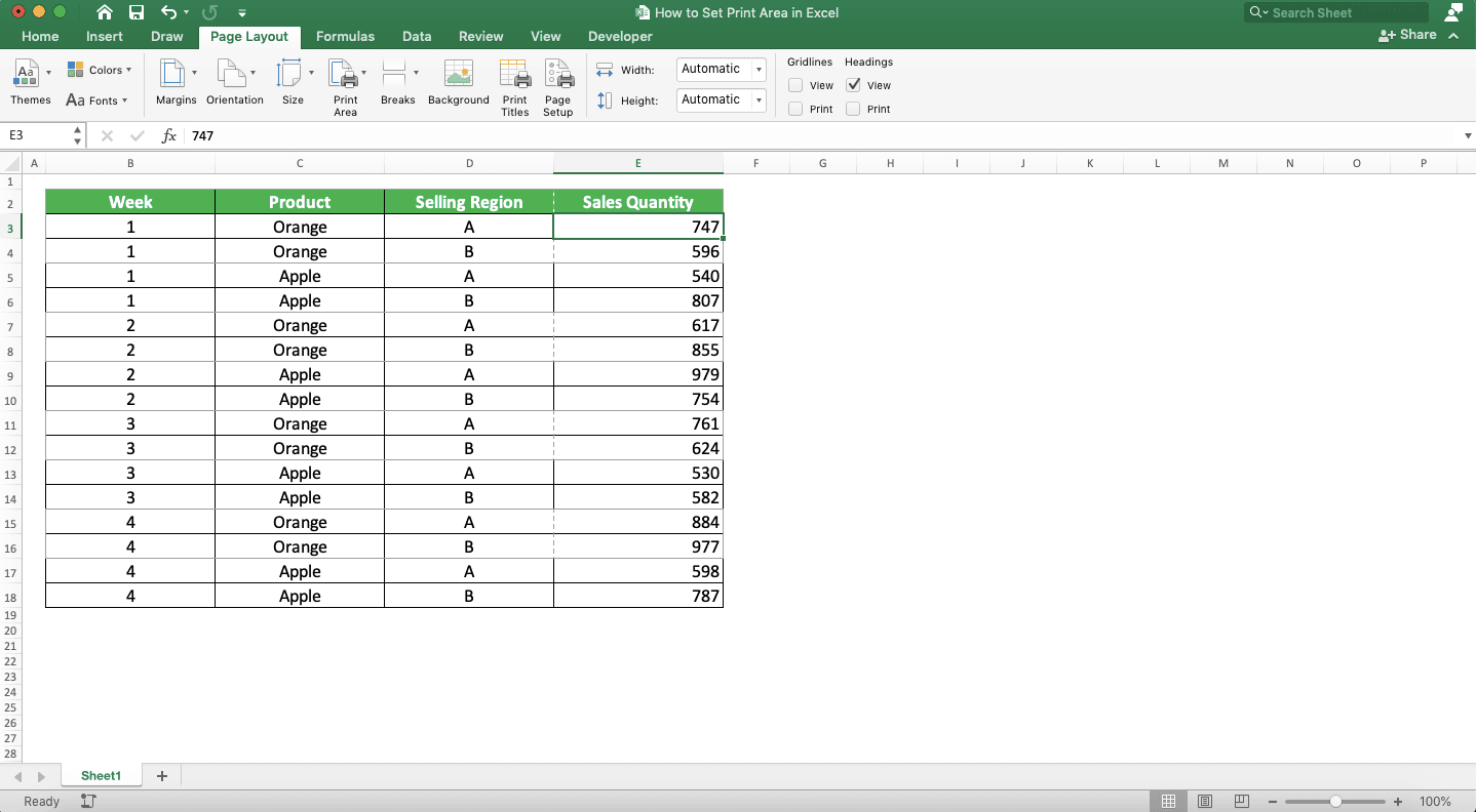 How to Set Print Area in Excel - Screenshot of the Multiple Cell Range Print Area Settings Result