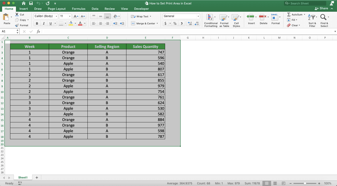 How to Set Print Area in Excel - Screenshot of Step 1