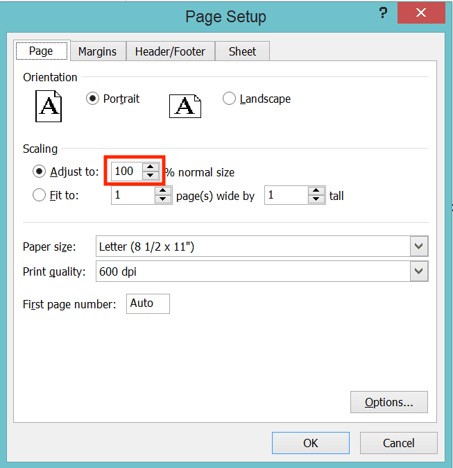 How to Print in Excel Neatly - Screenshot of the Adjust to Text Box in the Custom Scaling Options Dialog Box