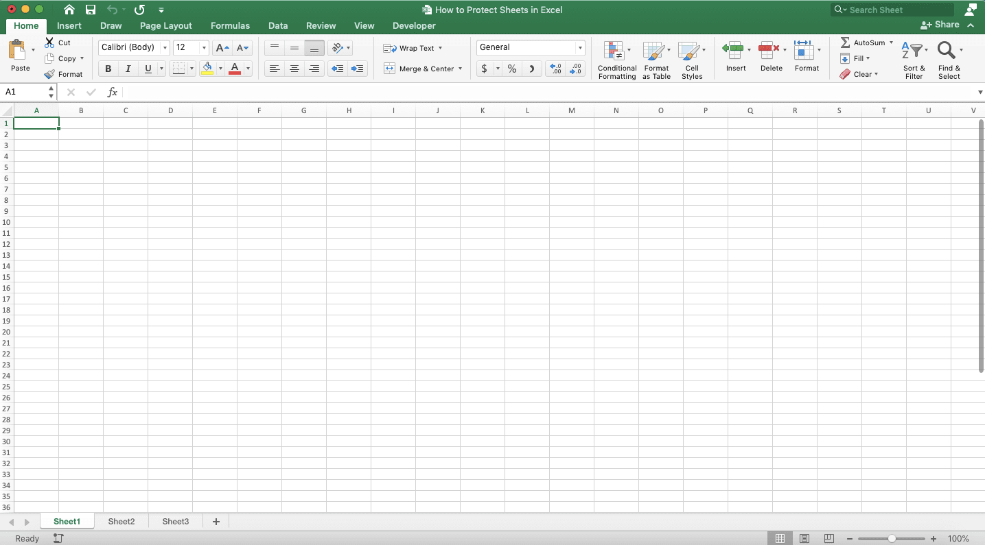 How to Protect Sheets in Excel - Screenshot of How to Protect Sheets with the Protect Sheet Button, Step 1