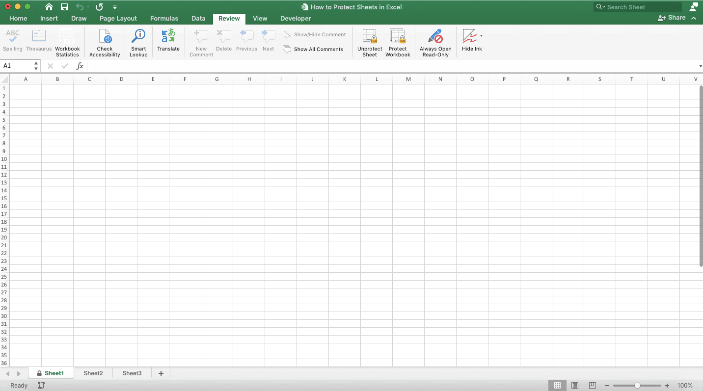 How to Protect Sheets in Excel - Screenshot of How to Protect Sheets with the Protect Sheet Button, Step 5