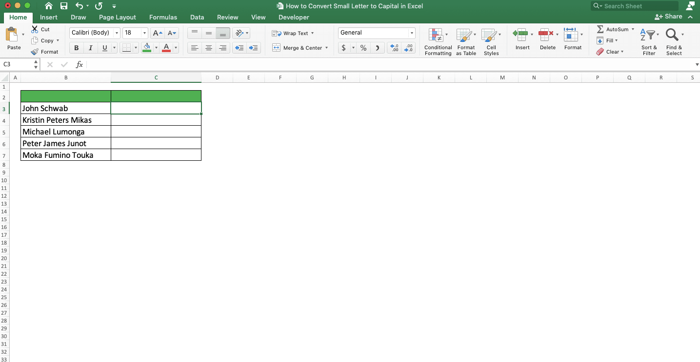 How to Convert Small Letters to Capital in Excel - Screenshot of the Dataset for the Flash Fill Method's Implementation Example