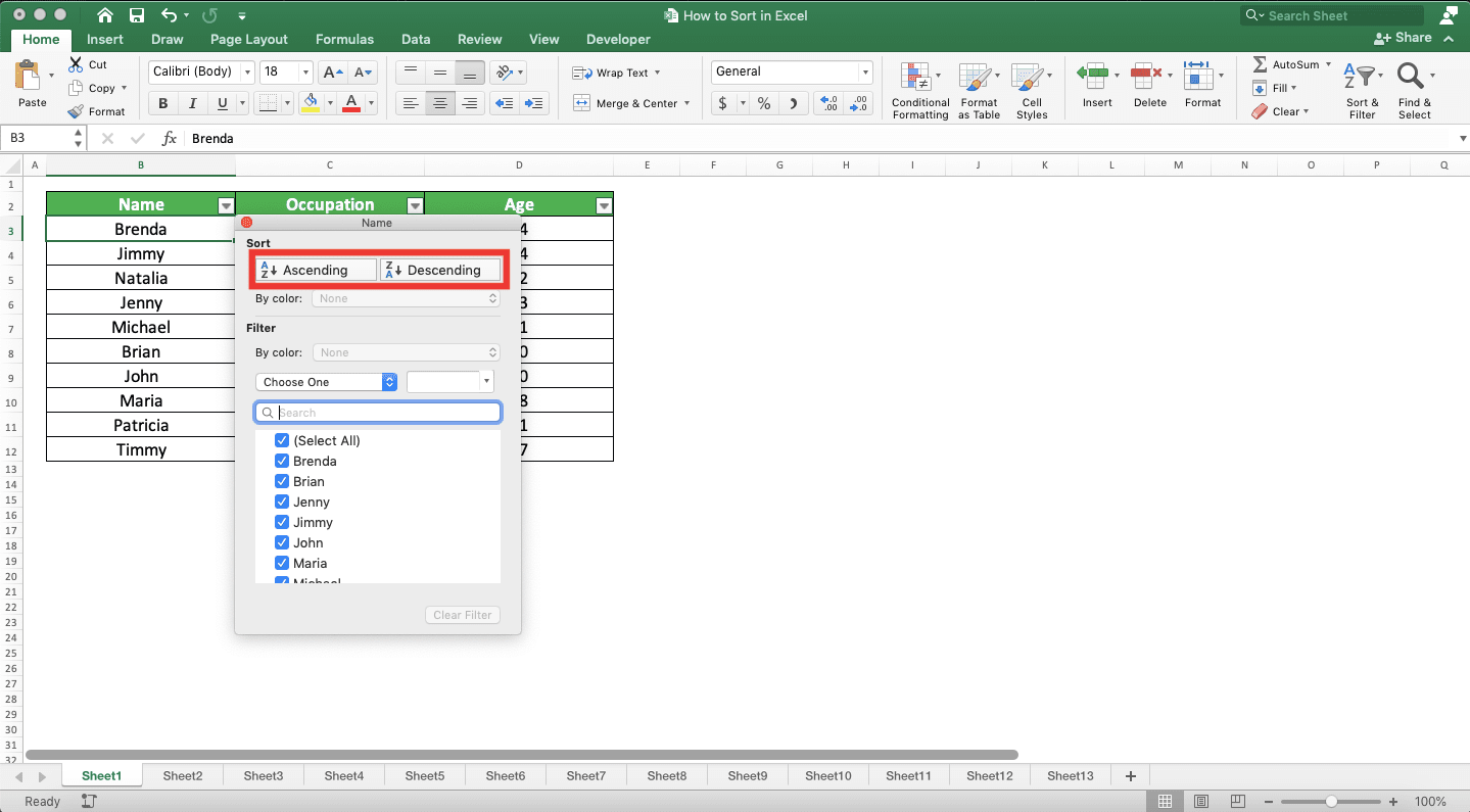 How to Sort in Excel - Screenshot of the Sort in Ascending and Descending Order Choices in the Filter Button Menu