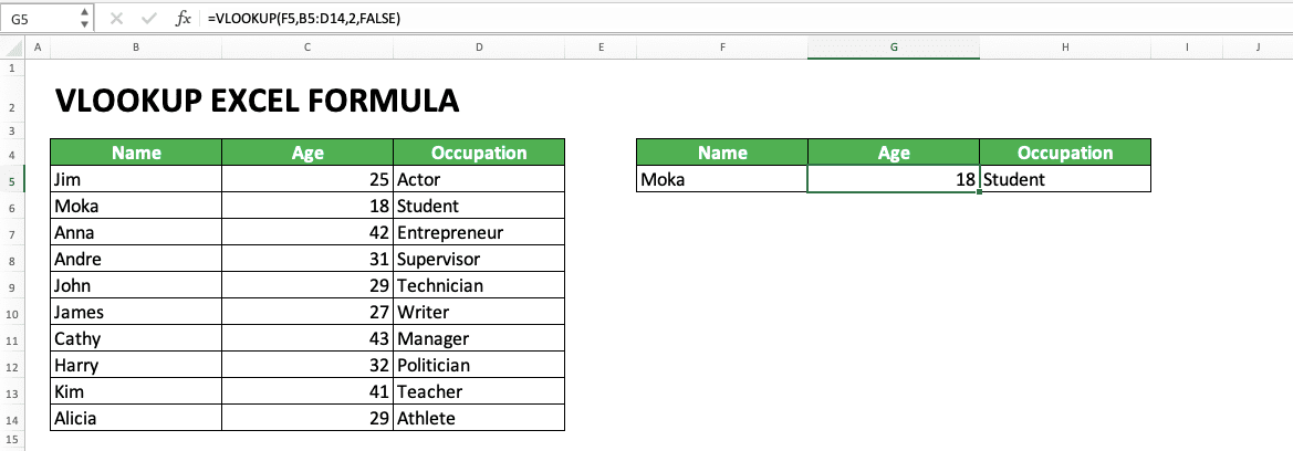 How to Use VLOOKUP Excel Formula - Screenshot of Biodata Search Example