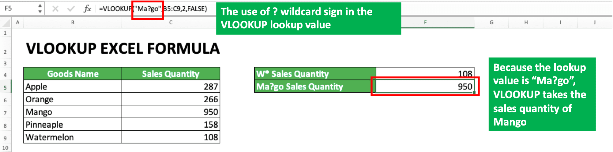 How to Use VLOOKUP Excel Formula - Screenshot of ? Wildcard Symbol Usage Example
