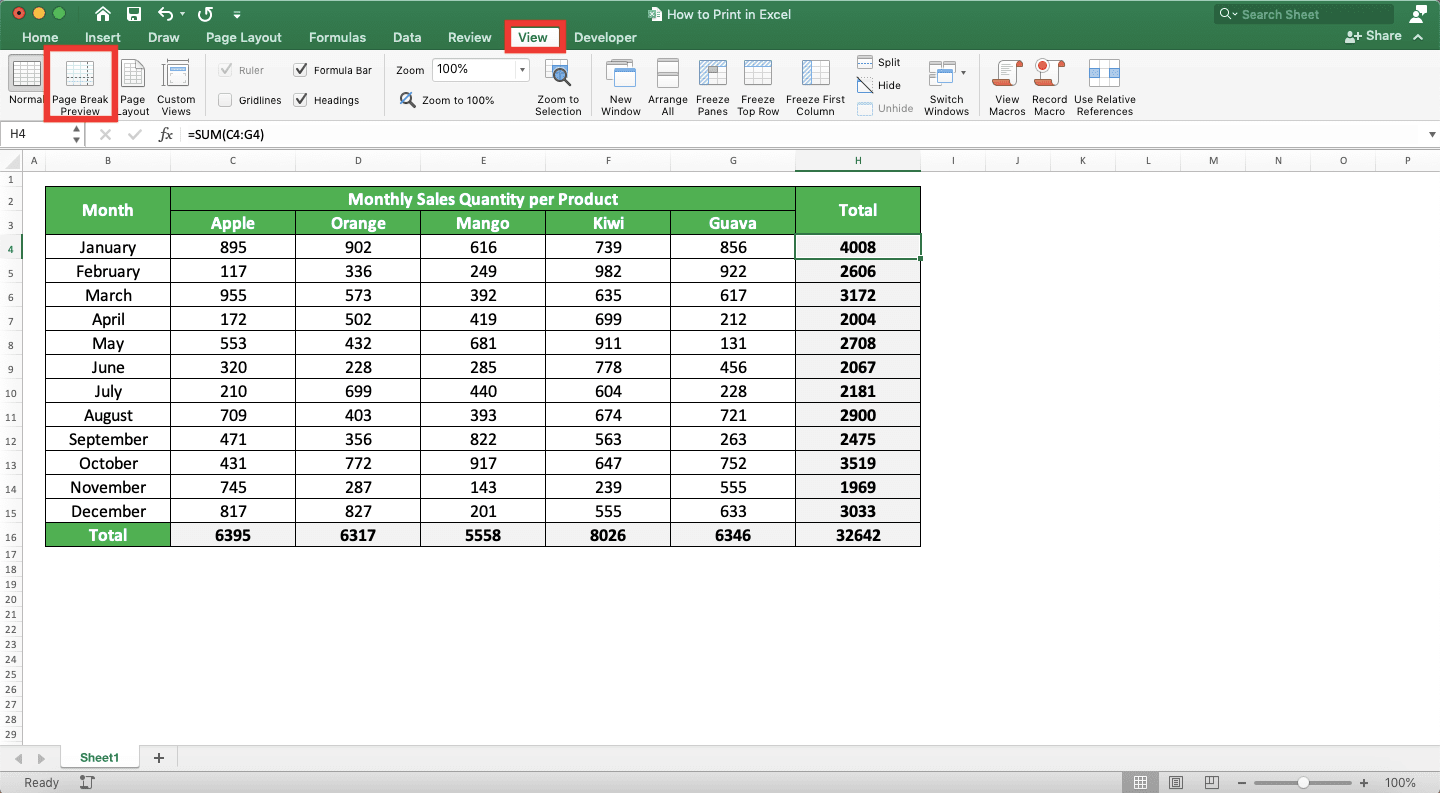 How to Print in Excel Neatly - Screenshot of How to Insert Page Breaks, Step 1