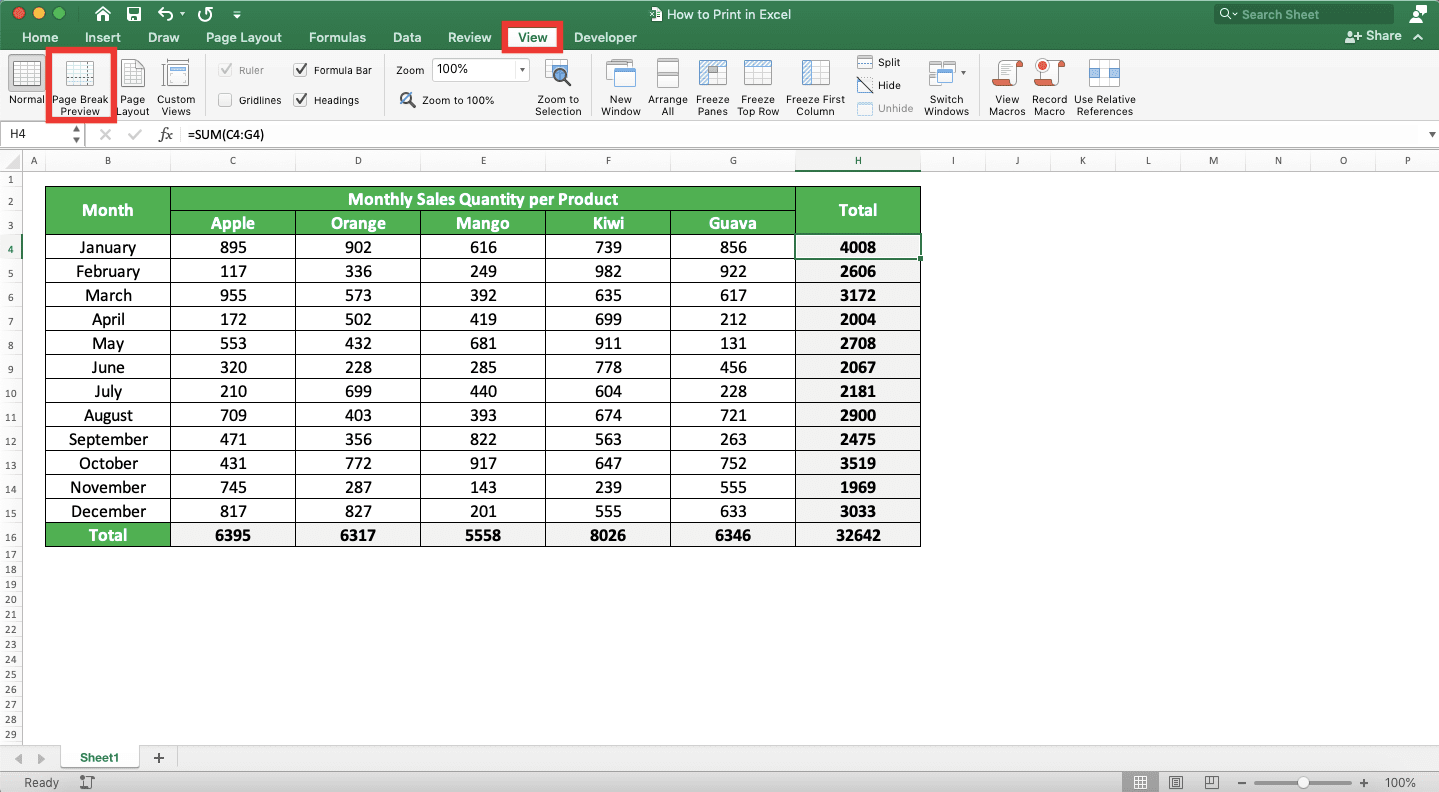 How to Print in Excel Neatly - Screenshot of the View Tab and Page Break Preview Button Locations