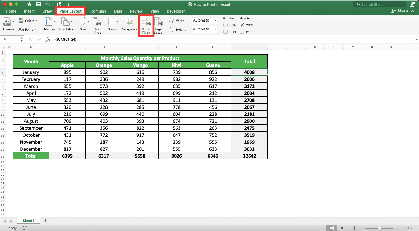 How to Print in Excel Neatly - Screenshot of How to Print with Title, Step 1