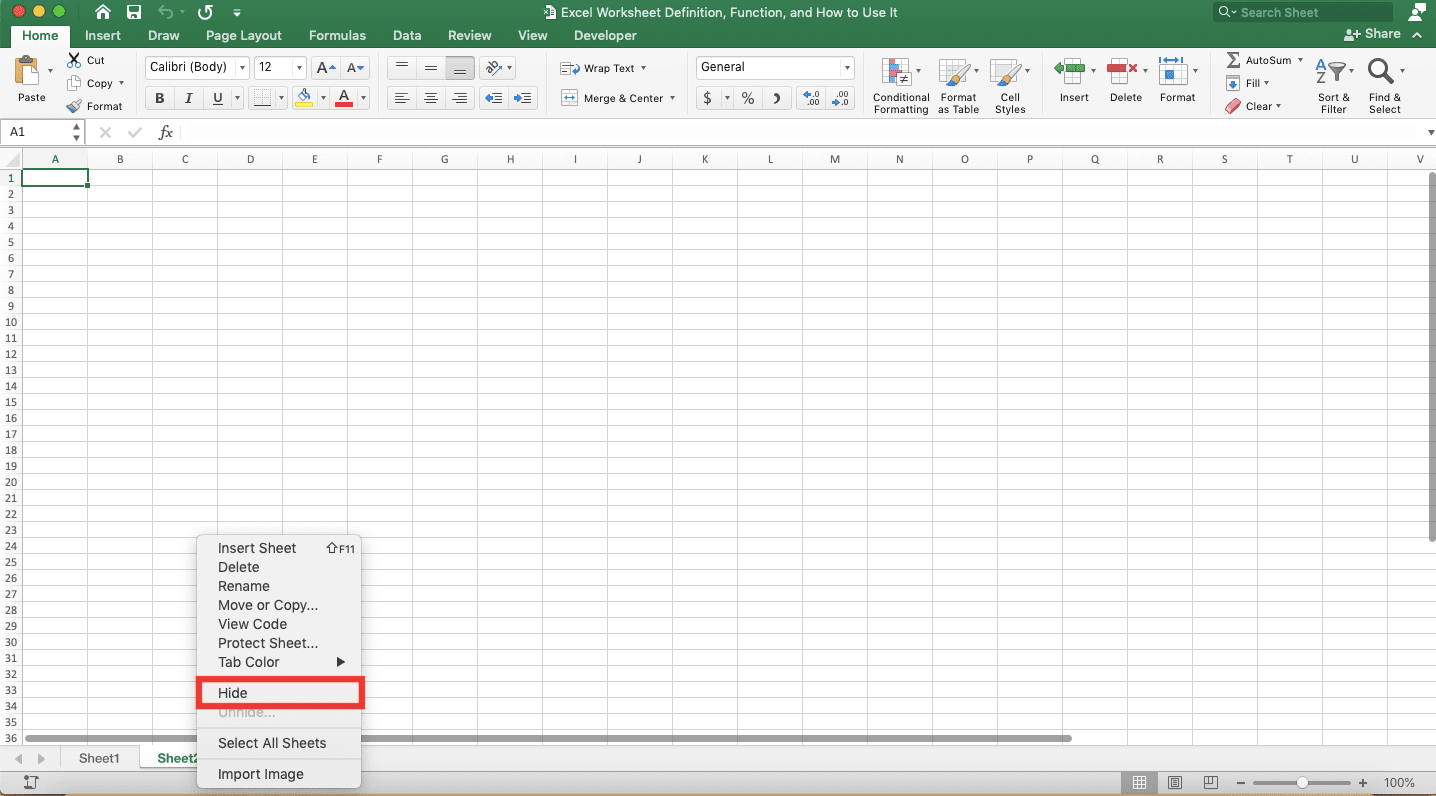 Excel Worksheet Definition, Function, and How to Use It - Screenshot of the Result When Hiding a Sheet in Excel