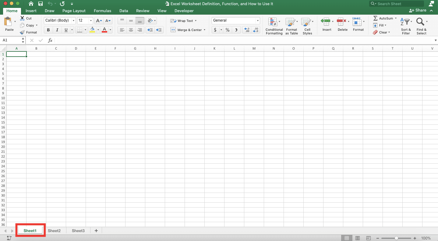 Excel Worksheet Definition, Function, and How to Use It - Screenshot of the Example for an Active Worksheet in Excel