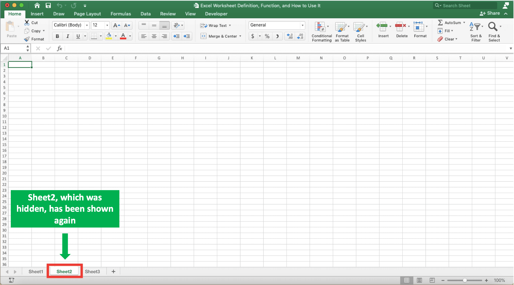Excel Worksheet Definition, Function, and How to Use It - Screenshot of the Unhide Sheets Result Example in Excel